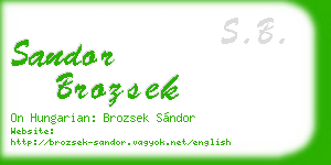 sandor brozsek business card